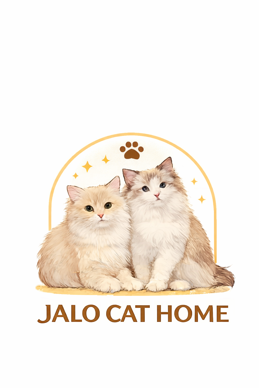 Jalo Cat Home