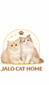 Jalo Cat Home Logo